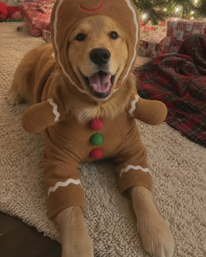 Cozyfire™ Dog hoodie