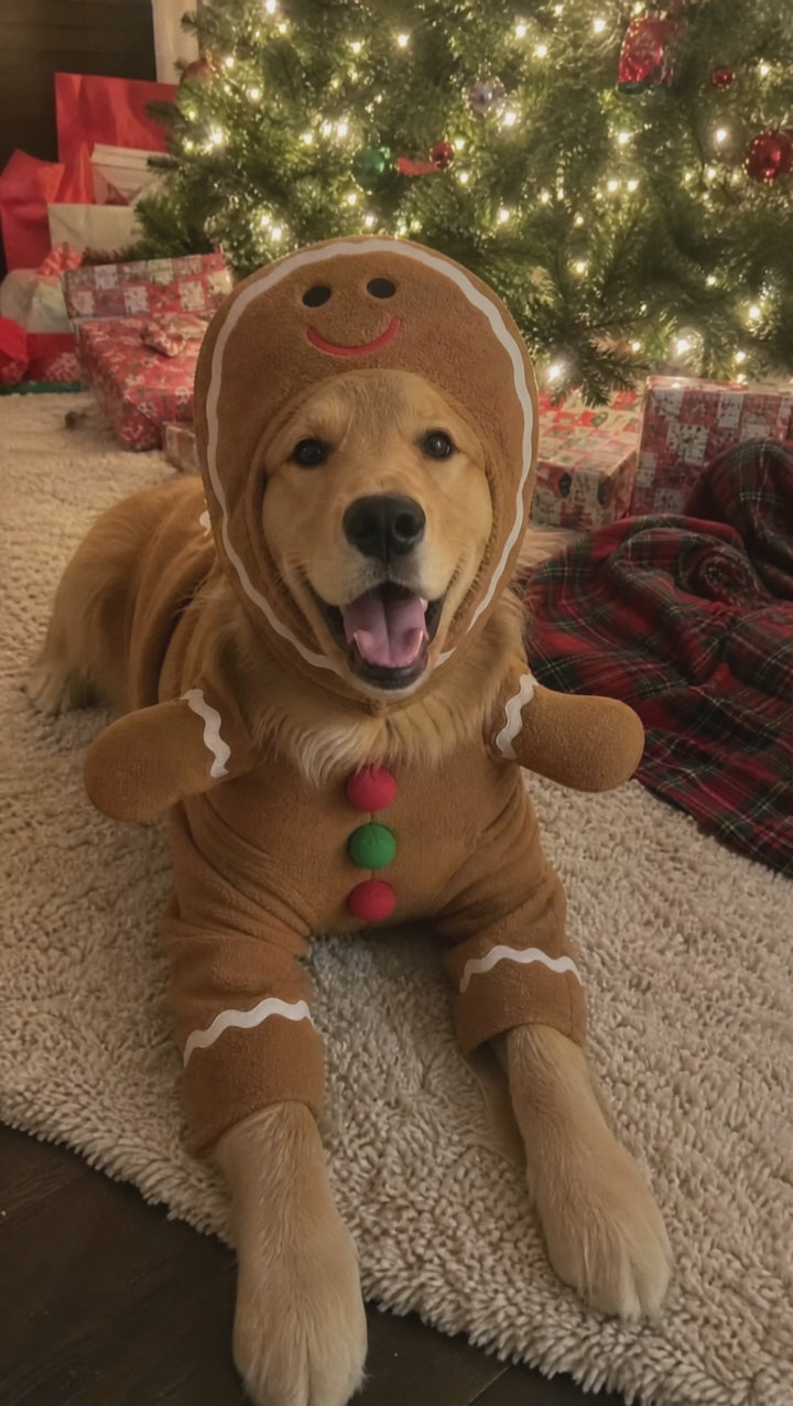 Cozyfire™ Dog hoodie