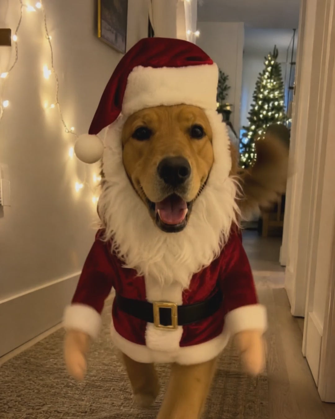 cozy fire santa hoodie