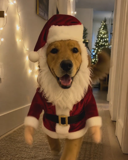 Cozyfire™ Dog hoodie