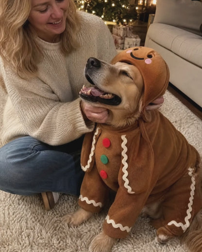 Cozyfire™ Dog hoodie