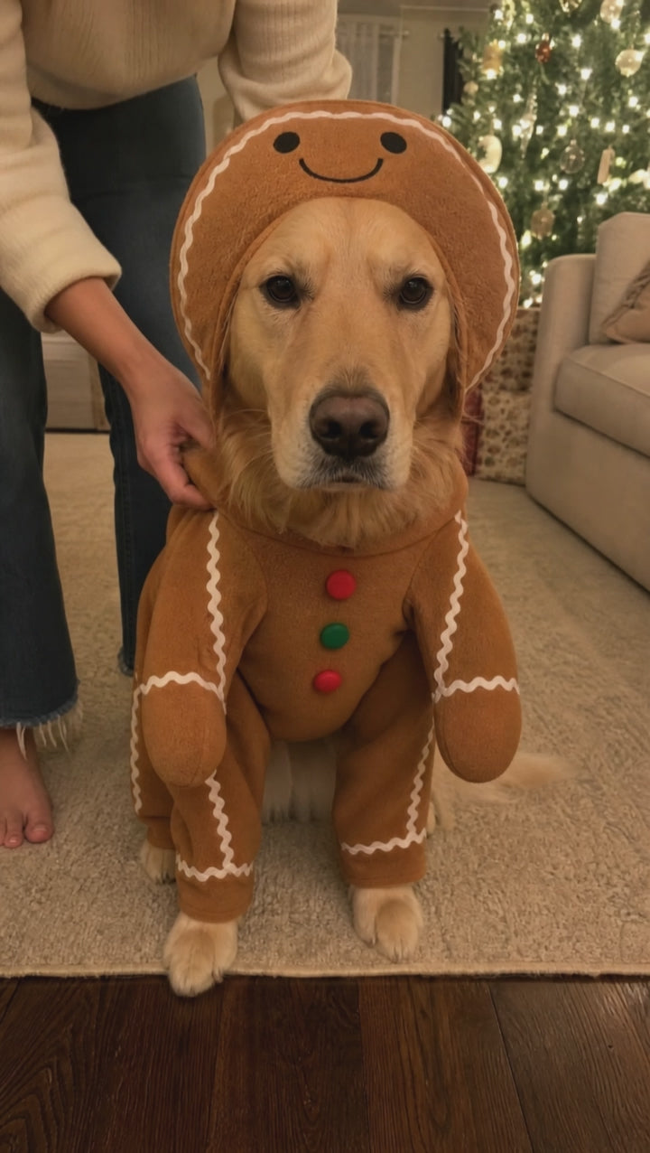 Cozyfire™ Dog hoodie